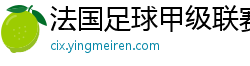 法国足球甲级联赛